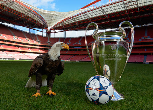 篮球真正的魅力所在（篮球魅力的真谛）